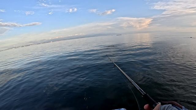 Выход Лакедры. Морская рыбалка с берега в Южной Корее