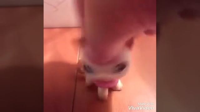 клип на песню любовь не рождается!!! смотреть онлайн