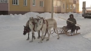 Глава Белоярского района посетил село Казым