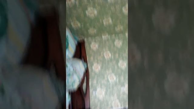 Рип смотреть онлайн