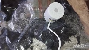 ВАКУУМНЫЕ ПАКЕТЫ