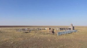 Городок фестиваля тюльпанов в Куриловской степи, Новоузенский район (панорама).