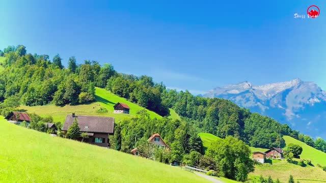 Захватывающая поездка на поезде в Швейцарии🇨🇭Штанзерхорн _ Кантон Нидвальден