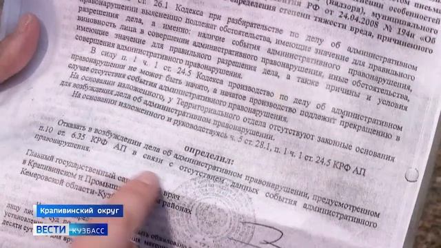 Навозная катастрофа: пруд в кузбасском селе стал зловонным болотом смотреть онлайн
