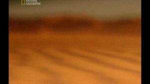 архив  - наука и религия - "разгаданный исход"