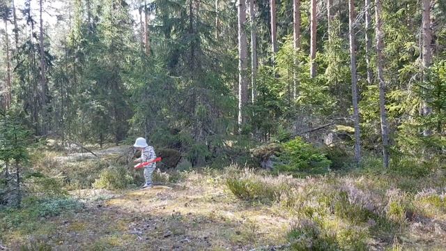 Заповедник Валкмуса, ч.1. Никита собирает чернику. смотреть онлайн