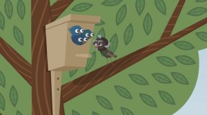 Балалар очен экият Мактанчык чыпчык!