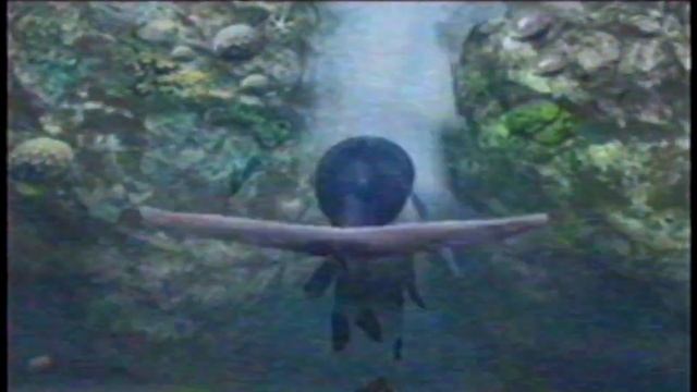 Chuck Person - Collected Echoes Megamix (WITH VISUALS) (60fps)