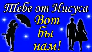 Вот бы нам !