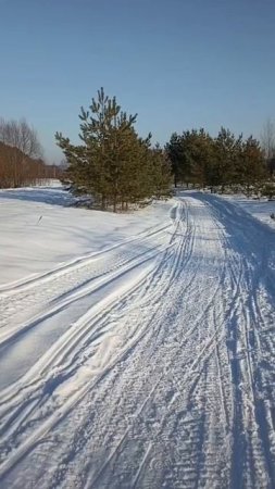 Февральская лазурь неба.