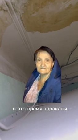 Тараканы это жесть