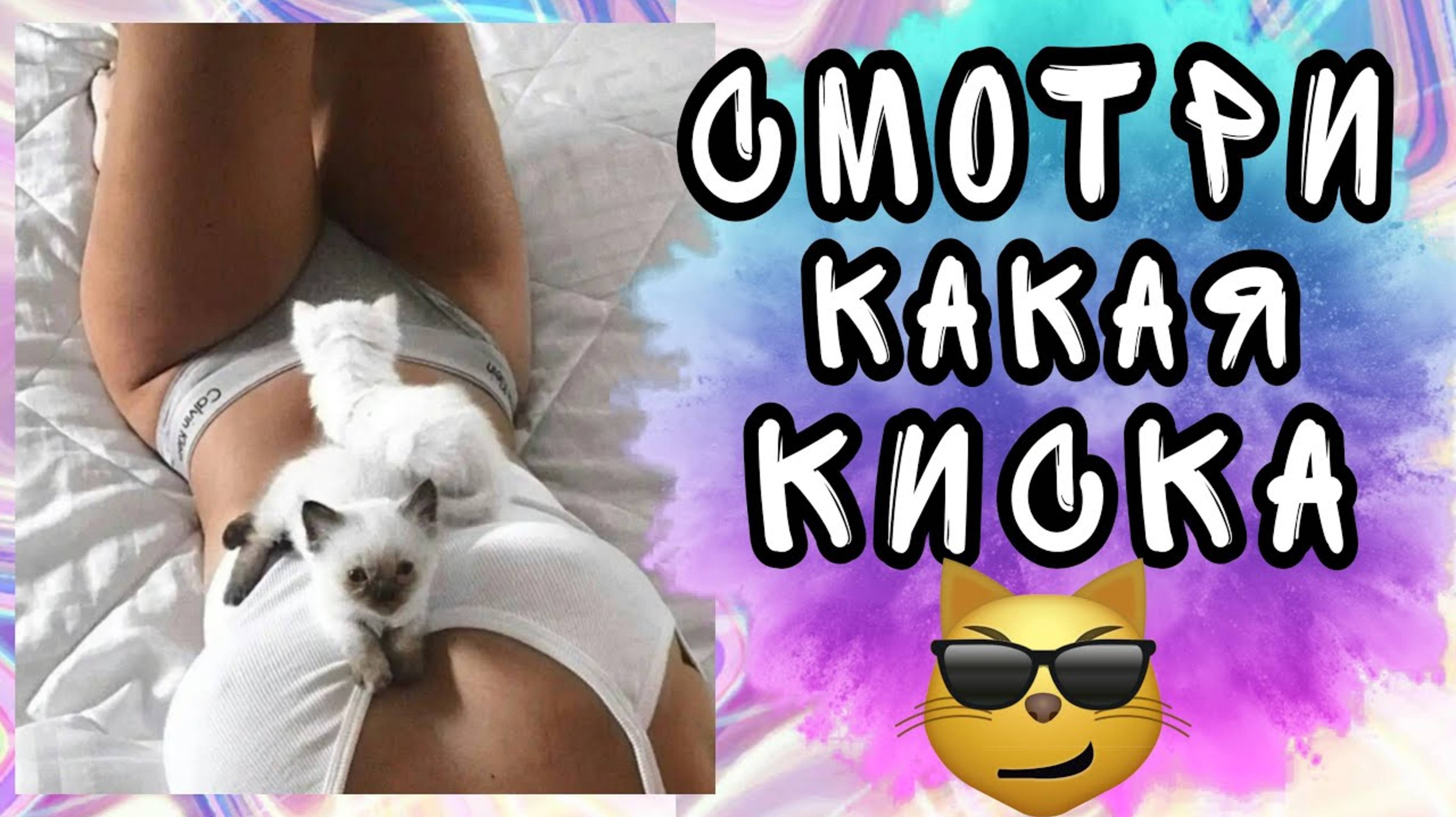 ОХ УЖ ЭТИ ЖИВОТНЫЕ | ПРИКОЛЫ С ЖИВОТНЫМИ | ПРИКОЛЬНЫЕ ЖИВОТНЫЕ смотреть онлайн