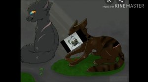 ||Причины Смертей Котов-Воителей||•||Коты-Воители||•||Огнеглаз||