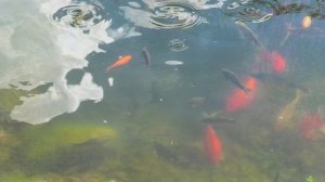 2023.08 Москвичи