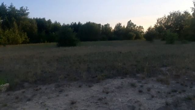 Гиена огненная!!! Привожу собак в опрятный вид. смотреть онлайн