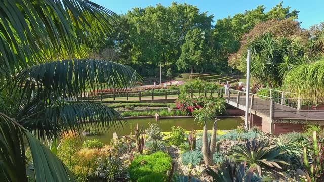 Австралия - Брисбен смотреть онлайн