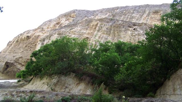 Почему существующие обезьяны не становятся человеком смотреть онлайн