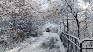 🐫 Многочисленные копытные обитатели нашего зоопарка очень любопытны.