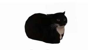 мемы с костей