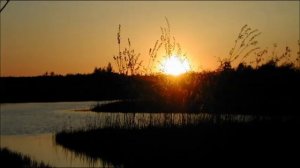 Иеромонах Роман. «Горит свеча. Псалтырь на аналое...»