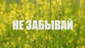 НЕ ЗАБЫВАЙ. Стихи. Л. Поливанова, муз, аранж. А. Тюрин, вокал. Л. Великанова, звук. А. Макалиш