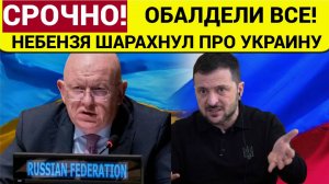 ВСТАЛИ ВСЕ! Заявление Небензи про Украину ШОКИРОВАЛО весь ЭЛЬ-РИЯД! Киев в Шоке!