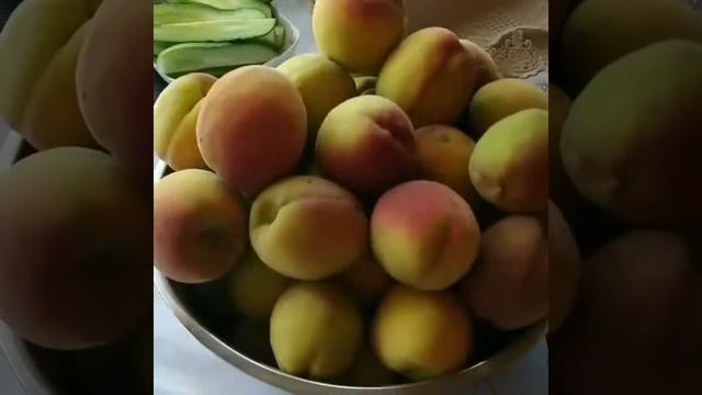 Домашние фрукты. смотреть онлайн