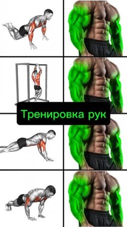 Тренировка рук