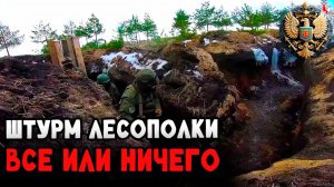 Штурм лесополосы