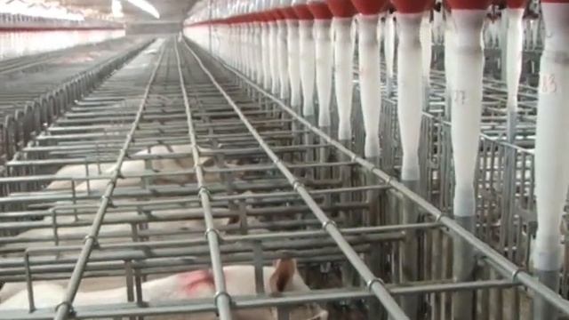 ЗАО "Тропарево"_1 смотреть онлайн