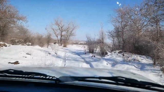 ПРИРОДА АМУДАРЬИ