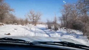 ПРИРОДА АМУДАРЬИ