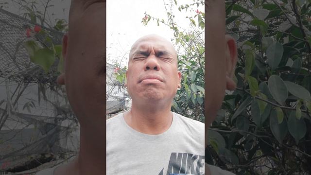 Pasilla Bajio смотреть онлайн