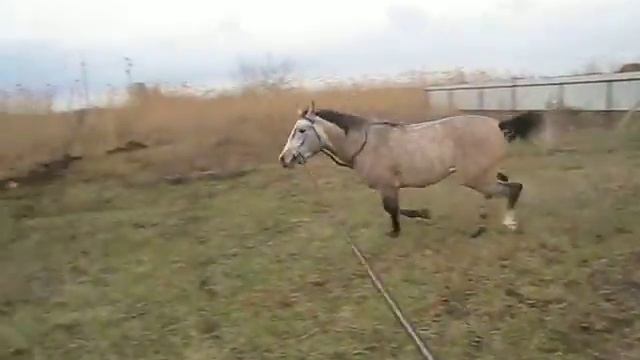 Барон смотреть онлайн