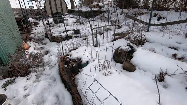 Rambling Permaculture Garden Tour as the Snow Melts смотреть онлайн