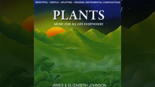 Wild Lilies Of The Valley смотреть онлайн