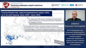 Эпизоотический процесс бешенства на территории Российской Федерации*