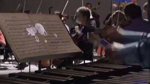 12. "Ископаемые" -  Фрагмент из сюиты французского композитора Камиля Сен-Сана "Карнавал животных".