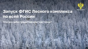 Работа в ФГИС Лесного комплекса