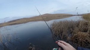 Завершение мормосезона 2021. Самодельный спиннинг #5.