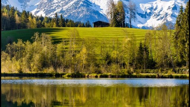 good clementine #youtube #shortvideo #subscribe #subscribe #shorts смотреть онлайн