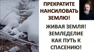 Земля пока ещё терпит нас. Но скоро её терпение лопнет. И тогда Потоп покажется благом