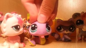 Литл пет шоп: Терпеть? или Бросить? Серия:6