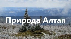 Природа Алтая