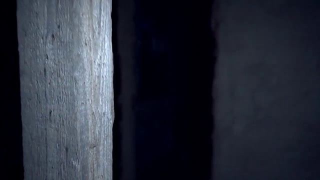 эдит каналу зебра суцесфул/#эдит смотреть онлайн