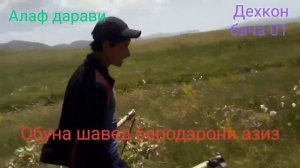 Алафхои Фаробу Гезан