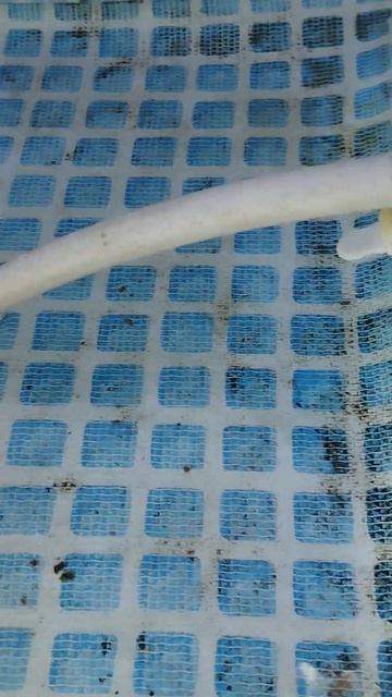 Как по максимуму слить воду с каркасного бассейна. смотреть онлайн