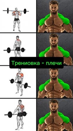 Тренировка плечей