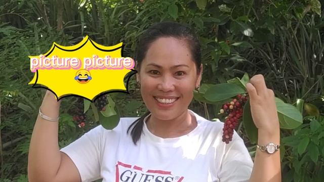 Bignay/Bugnay or Philippine Wild Cherry Picking смотреть онлайн