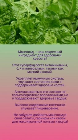 Польза мангольда 🤗🌺🌿